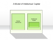 A Model of Intellectual Capital
