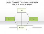 Levitt's Diamond: The Interaction of Social Forces in an Organization