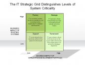 The IT Strategic Grid Distinguishes Levels of System Criticality