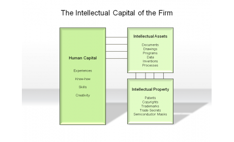 The Intellectual Capital of the Firm