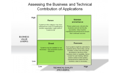 Assessing the Business and Technical Contribution of Applications