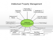 Intelectual Property Management