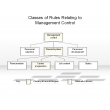 Classes of Rules Relating to Management Control