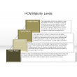 HCM Maturity Levels