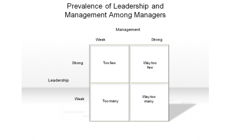 Prevalence of Leadership and Management Among Managers