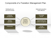 Components of a Transition Management Plan
