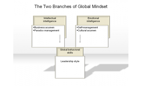 The Two Branches of Global Mindset