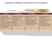 Overview of Merger Work Plan for Procurement