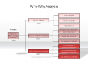 Why-Why Analysis