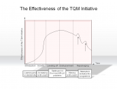 The Effectiveness of the TQM Initiative