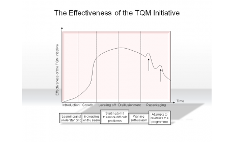 The Effectiveness of the TQM Initiative