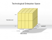 Technological Enterprise Space