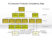 A Consumer Products Competency Map