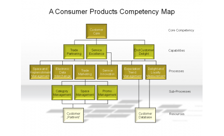 A Consumer Products Competency Map