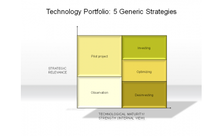 Technology Portfolio: 5 Generic Strategies