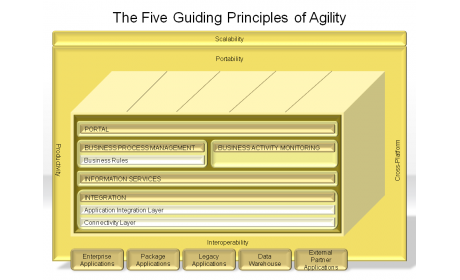 The Five Guiding Principles of Agility