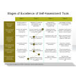 Stages of Excellence of Self-Assessment Tools