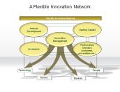 A Flexible Innovation Network