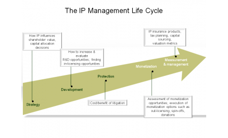 The IP Management Life Cycle