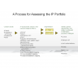 A Process for Assessing the IP Portfolio