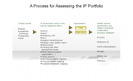 A Process for Assessing the IP Portfolio