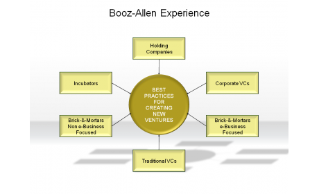 Booz-Allen Experience