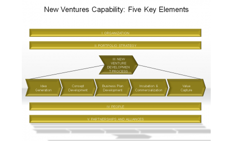 New Ventures Capability: Five Key Elements