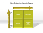 New Enterprise Growth Space