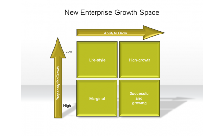 New Enterprise Growth Space