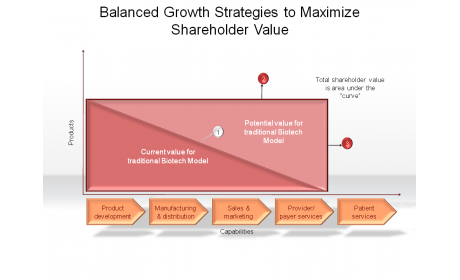 Balanced Growth Strategies to Maximize Shareholder Value