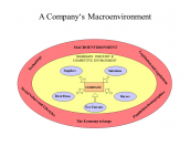 A Company's Macroenvironment